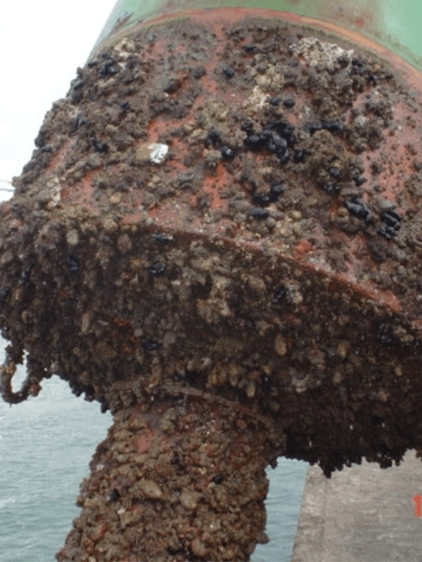 tratamento e pintura